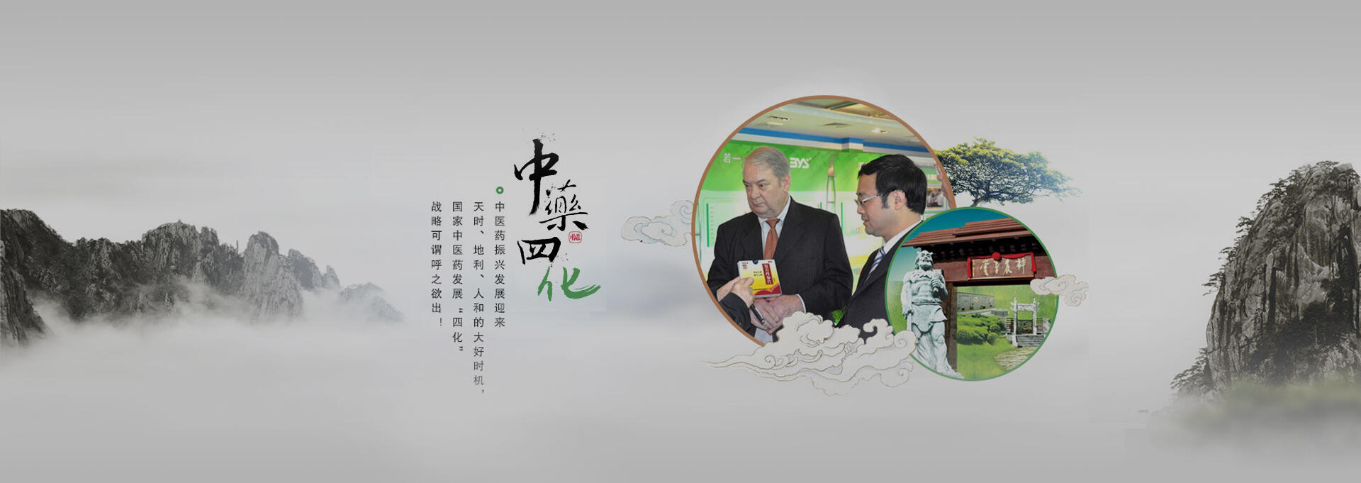 云龙建站-若一医药科技