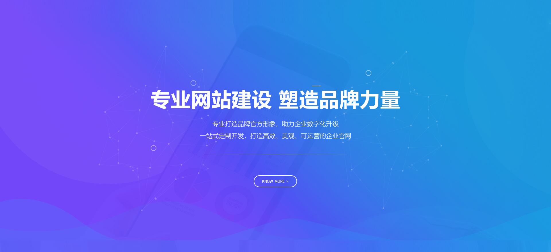 大理建站-专业网站建设 塑造品牌力量