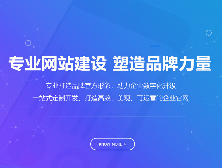 大理建站-专业网站建设 塑造品牌力量